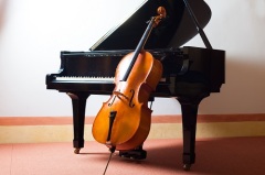 Международный день виолончели