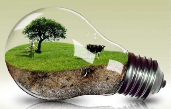 ЖИЗНЬ С ЗАБОТОЙ ОБ ЭКОЛОГИИ: пять советов по энергосбережению