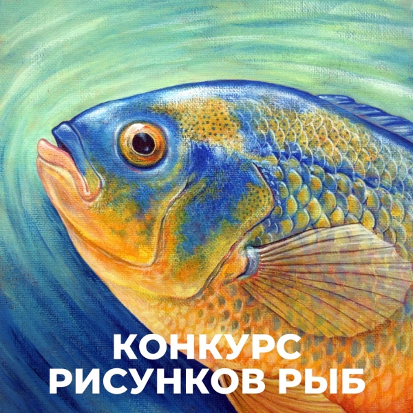    Fish Art Contest