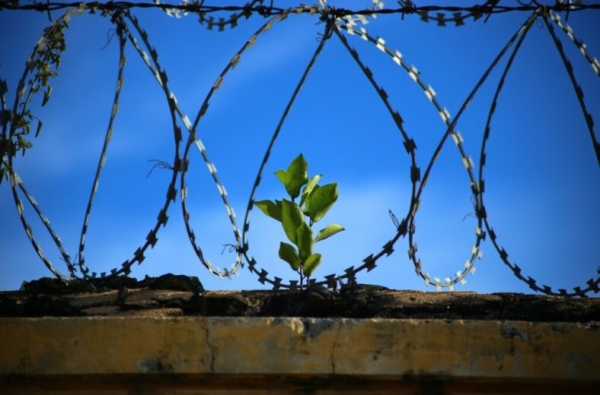 Новость с сайта asi.org.ru: Научены и с горьким опытом: как в США добились, чтобы заключенные получали дипломы и больше не возвращались в тюрьму