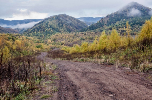 Гринпис: Сахалинская область стала самым открытым к «Зеленому курсу» регионом РФ